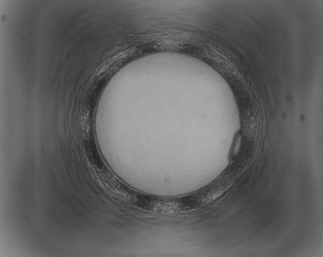 X0000085740599200704091512