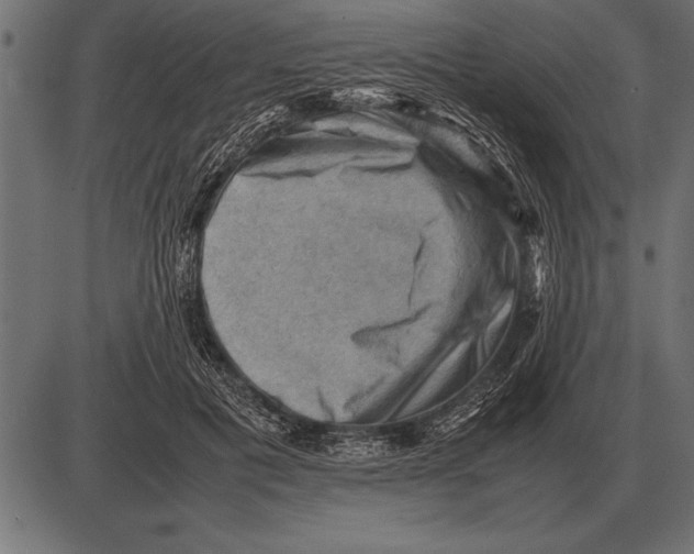 X0000085740601200704091512
