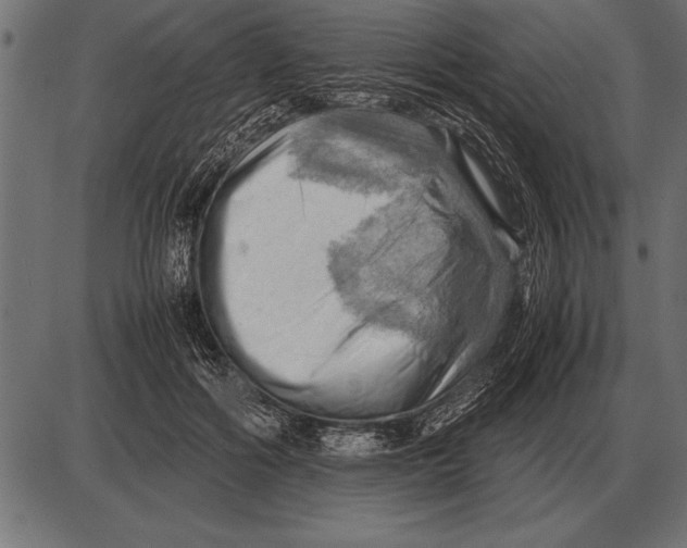 X0000085740602200704091512