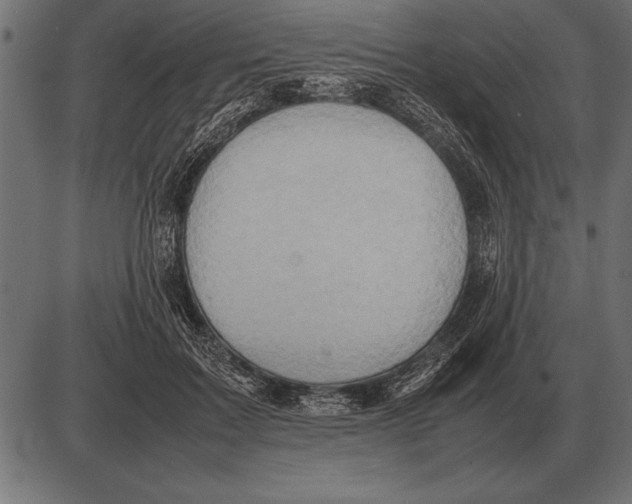 X0000085740603200704091512