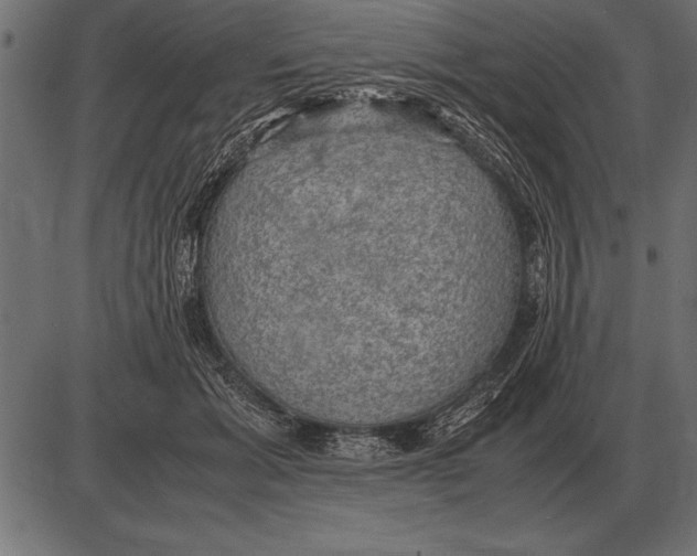 X0000085740605200704091511