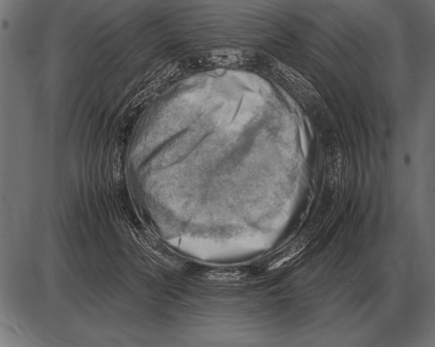 X0000085740606200704091511