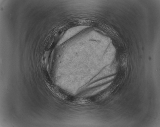 X0000085740607200704091511
