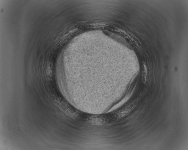 X0000085740608200704091511