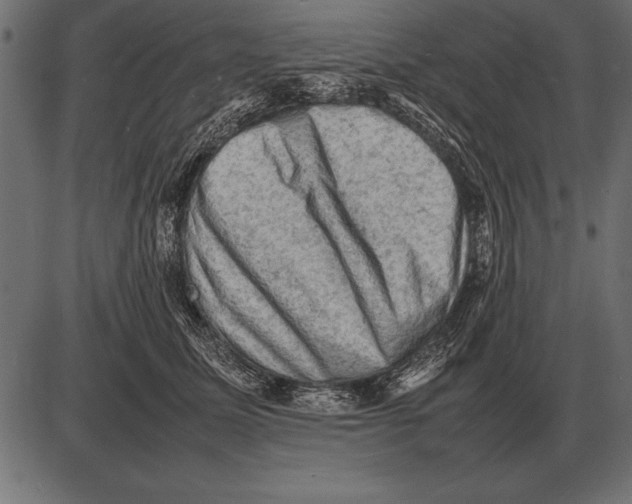 X0000085740611200704091511