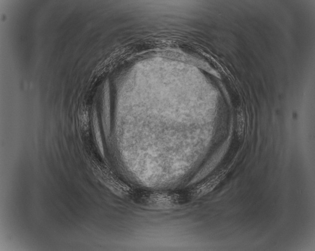 X0000085740613200704091511