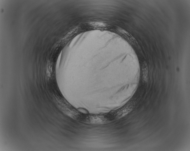 X0000085740618200704091511
