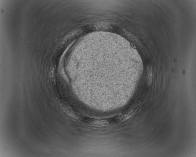 X0000085740619200704091511
