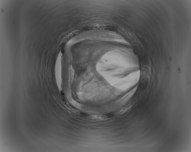 X0000085740623200704091511