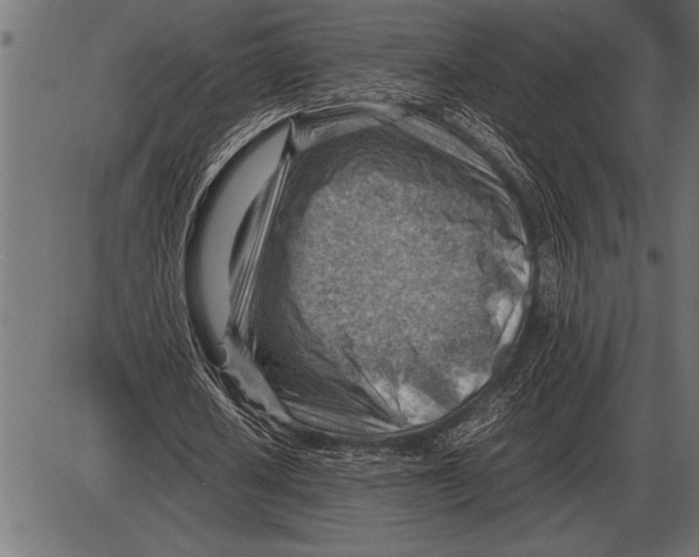 X0000085740626200704091510