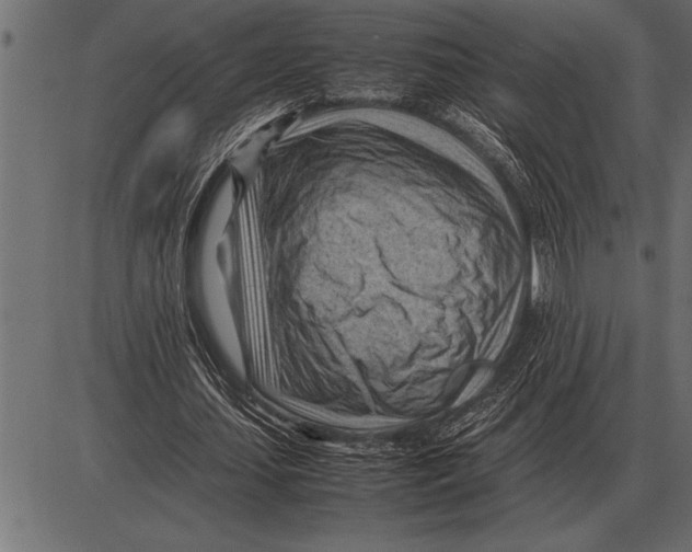 X0000085740627200704091510