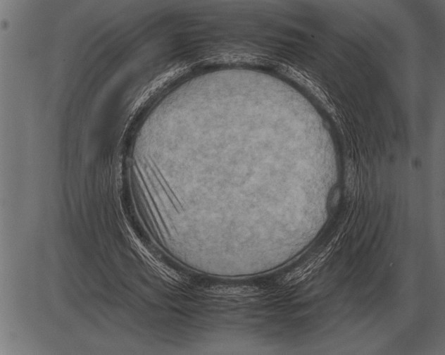 X0000085740629200704091510