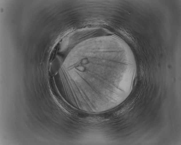 X0000085740630200704091510