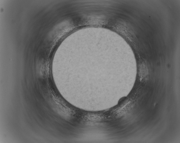 X0000085740632200704091510