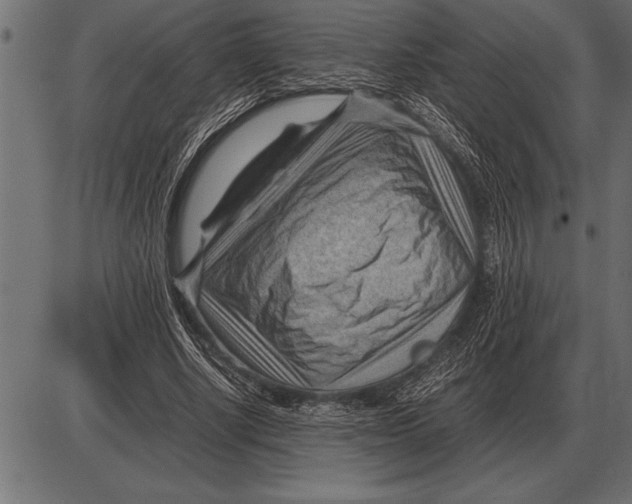 X0000085740634200704091511