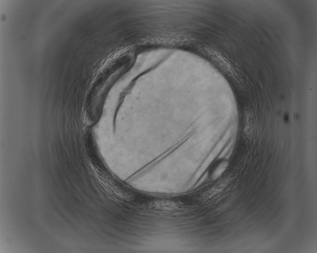 X0000085740636200704091511