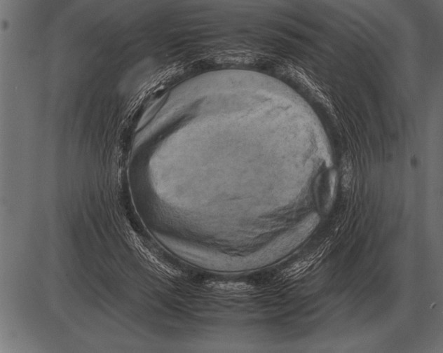X0000085740637200704091511