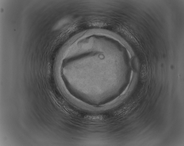 X0000085740639200704091511