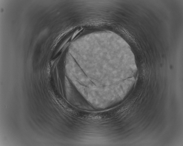 X0000085740640200704091511