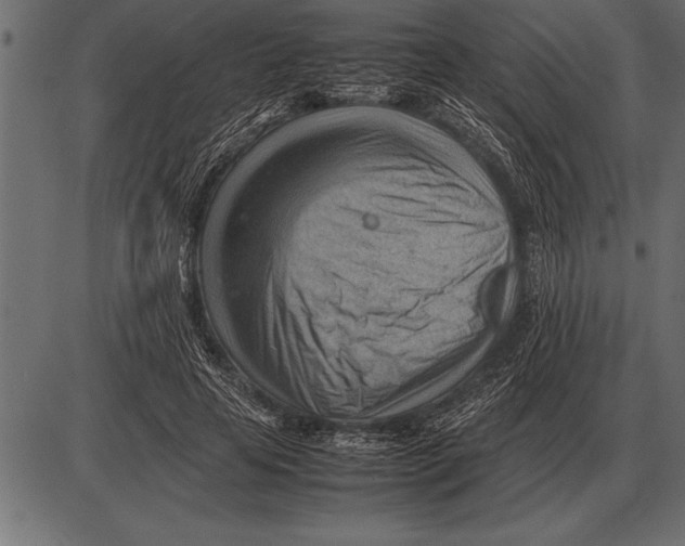 X0000085740641200704091511