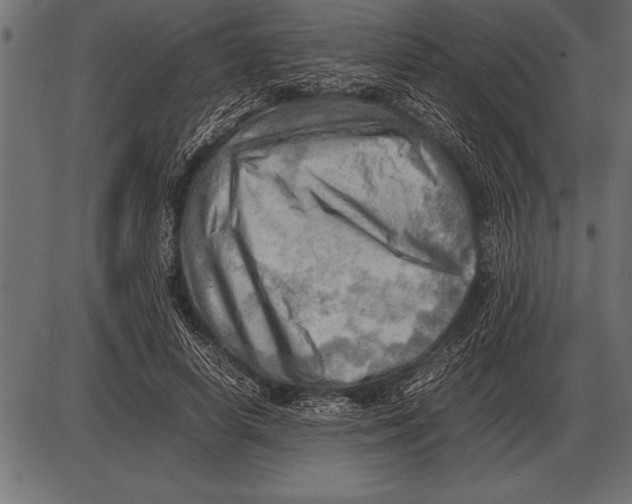 X0000085740642200704091511