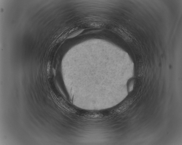 X0000085740646200704091511