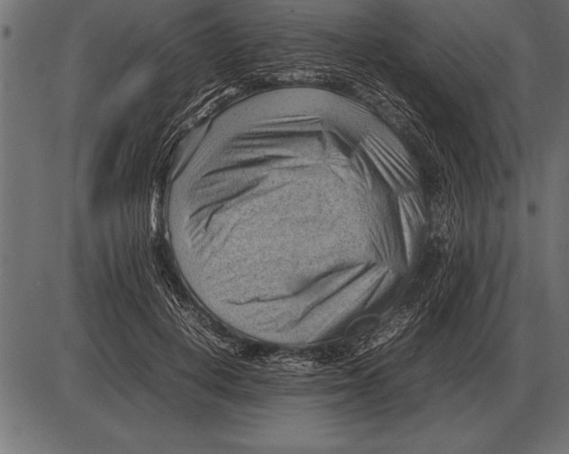 X0000085740648200704091511