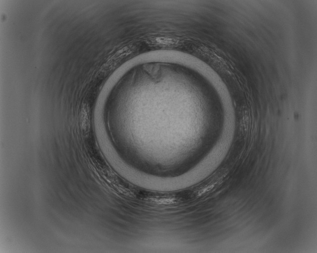X0000085740651200704091511