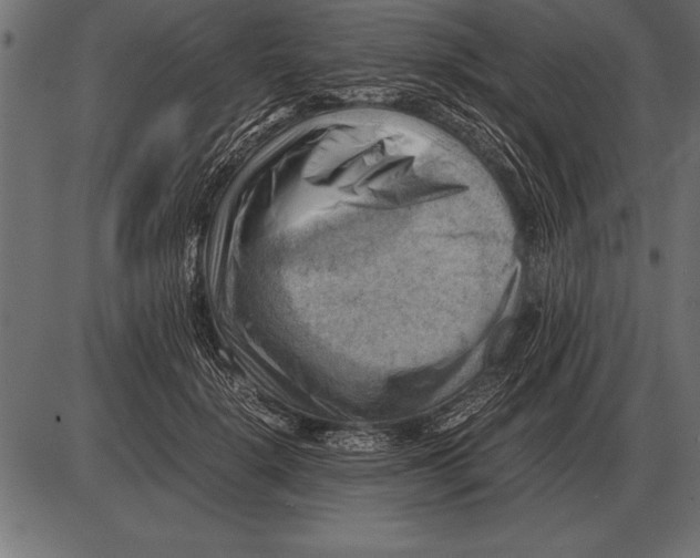 X0000085740652200704091511