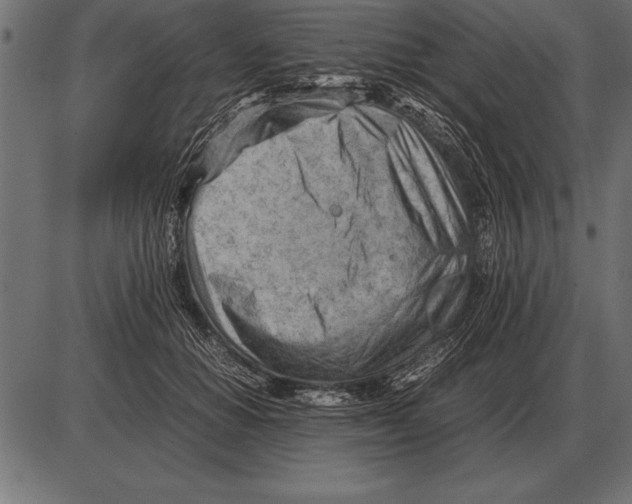X0000085740654200704091511