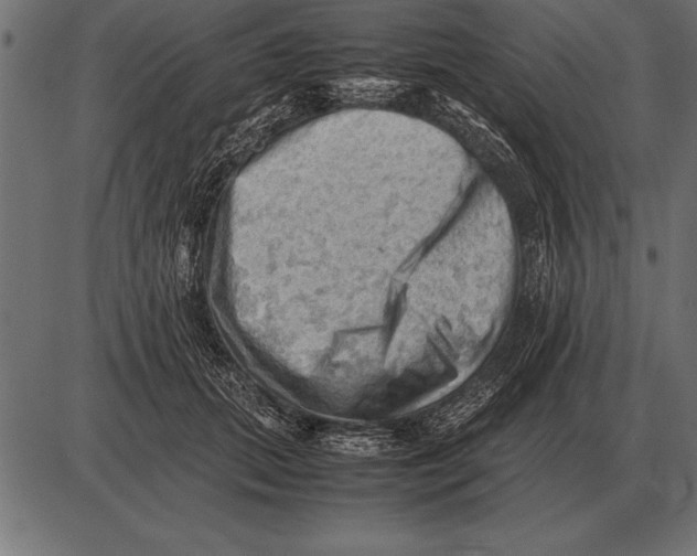 X0000085740655200704091511