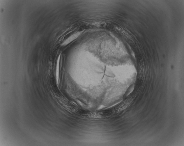X0000085740656200704091511