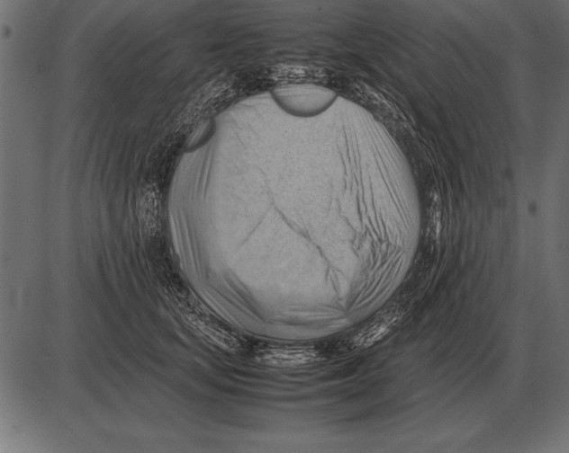 X0000085740659200704091511