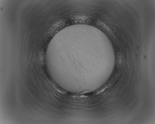 X0000085740661200704091511