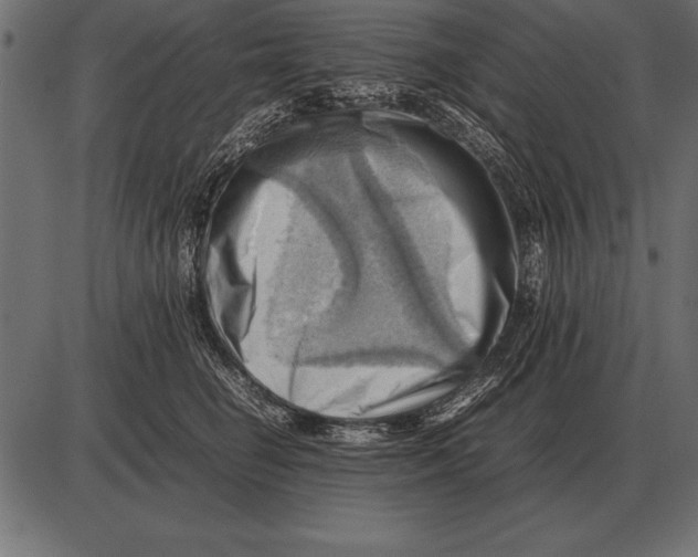 X0000085740662200704091511