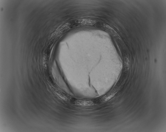 X0000085740663200704091511