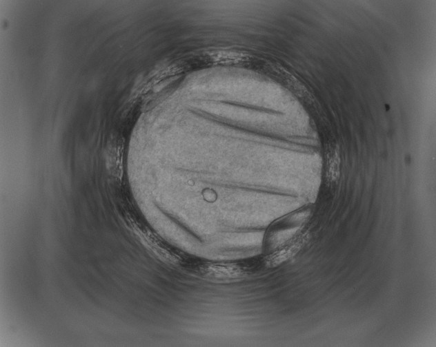 X0000085740666200704091511