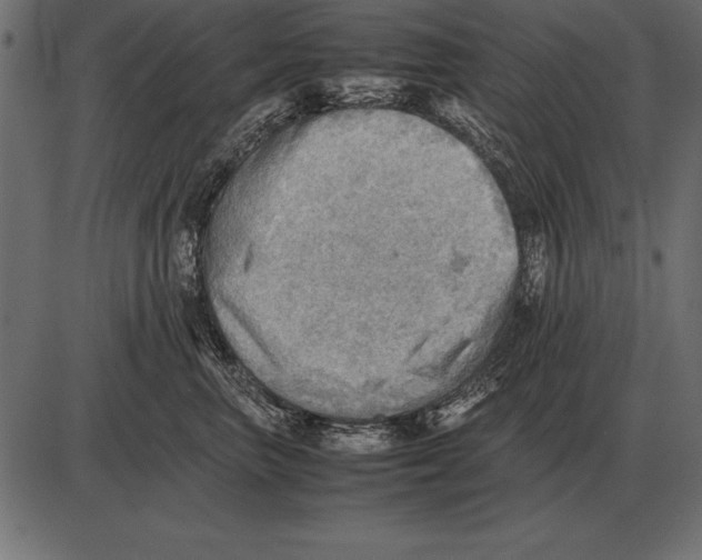 X0000085740667200704091511