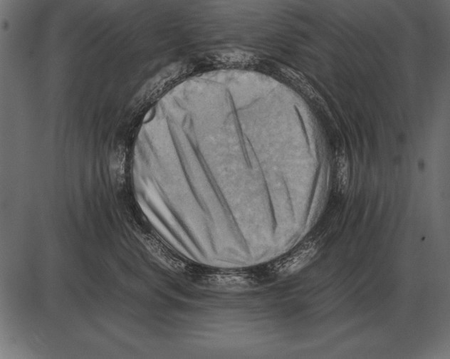 X0000085740668200704091511