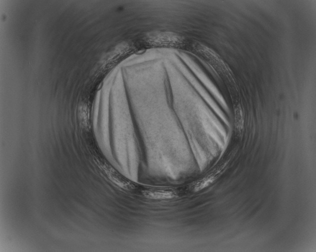 X0000085740669200704091511