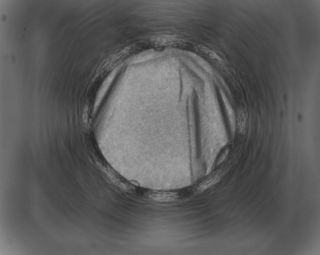 X0000085740670200704091511