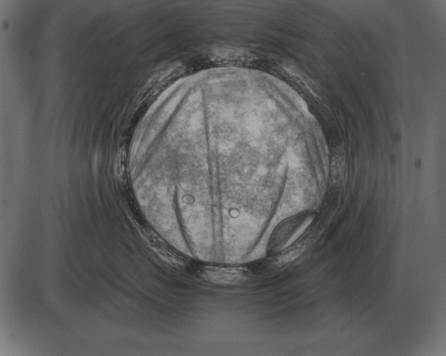 X0000085740671200704091511