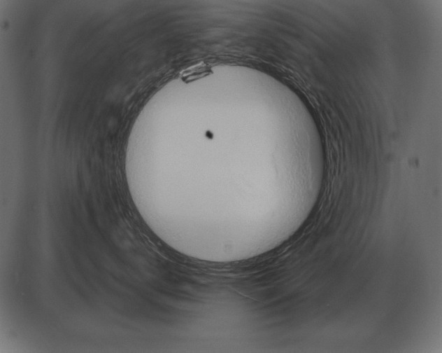 X0000085740672200704091511