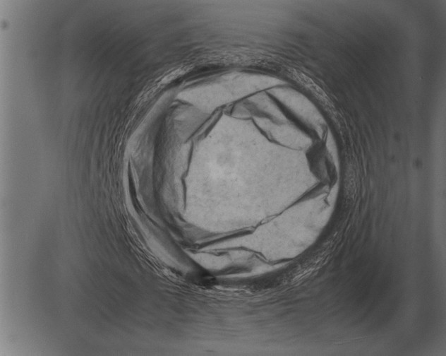 X0000085740673200704091510
