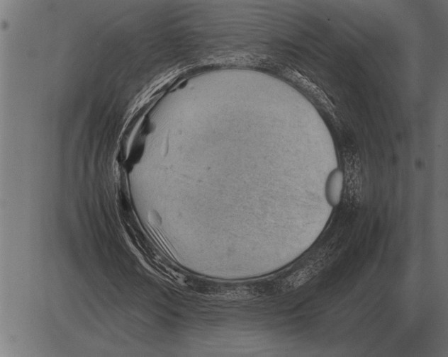X0000085740674200704091510