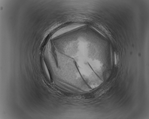 X0000085740675200704091510