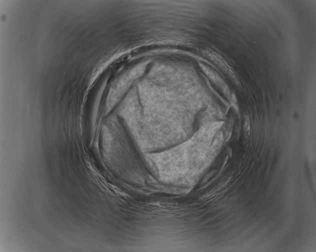 X0000085740676200704091510