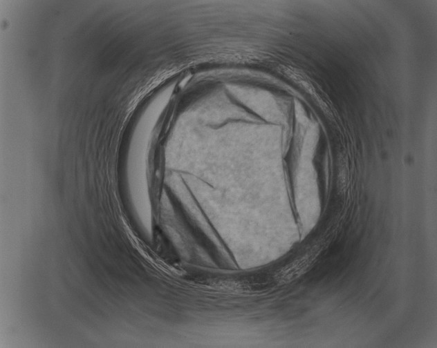 X0000085740677200704091510