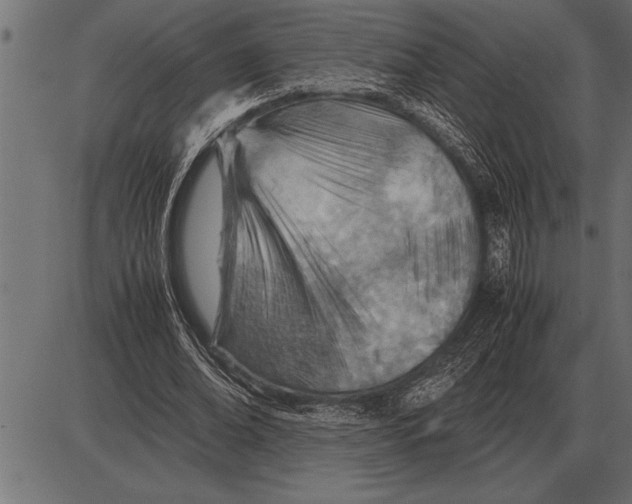 X0000085740678200704091510