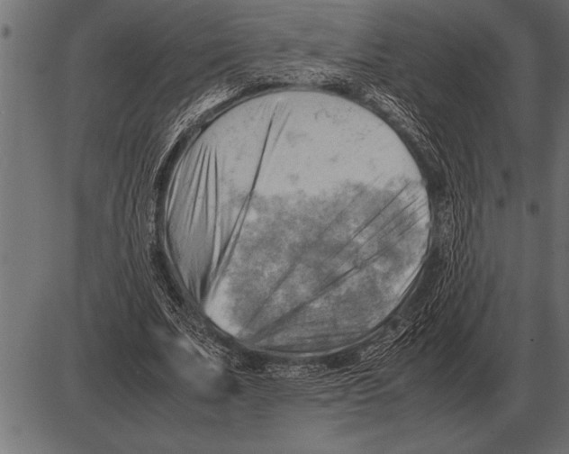 X0000085740679200704091510
